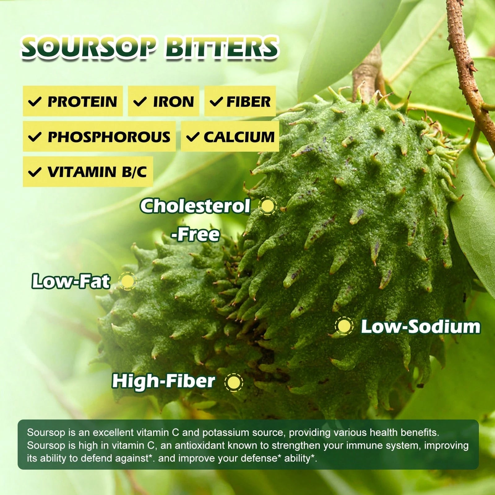 B BEWORTHS Soursop Bitters Liquid Drops, Soursop Graviola Leaf Extract Multivitamin Drops With Sea Moss Black Seed Oil Supplement