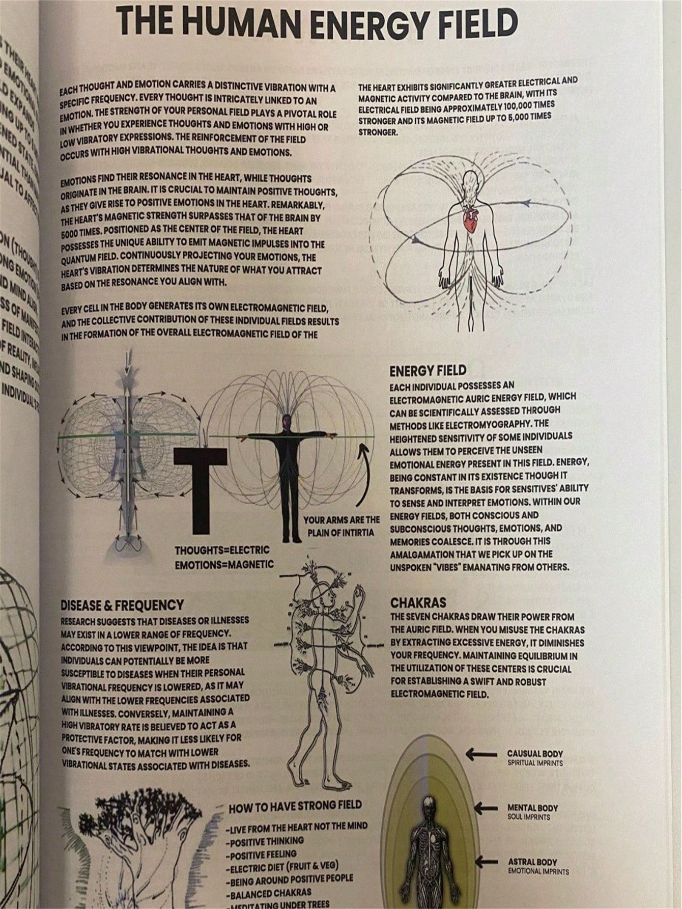 Book Of Wisdom: Volume 1 And 2 - Reveal The Hidden Truths, Universal Laws, And Sacred Knowledge